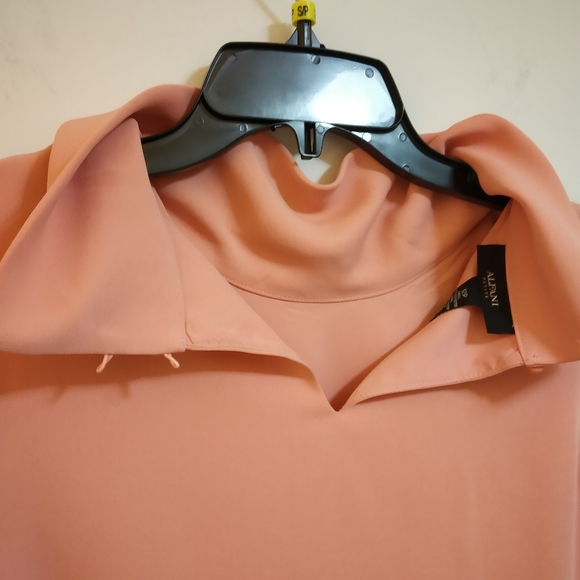 Alfani - Picture 4 of 7